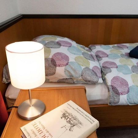 Waldblick Appartement Ober-Hambach エクステリア 写真