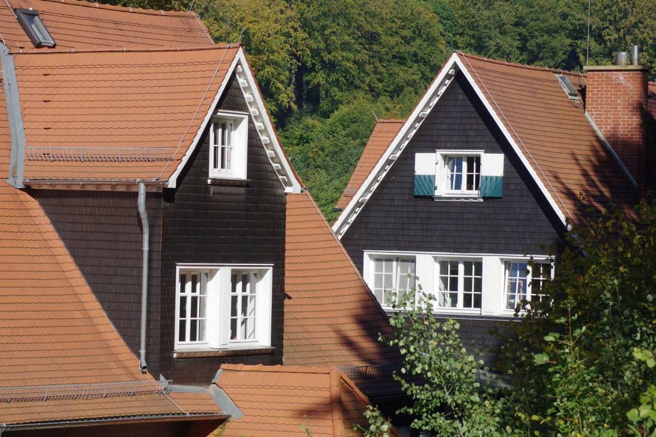 Waldblick Appartement Ober-Hambach エクステリア 写真