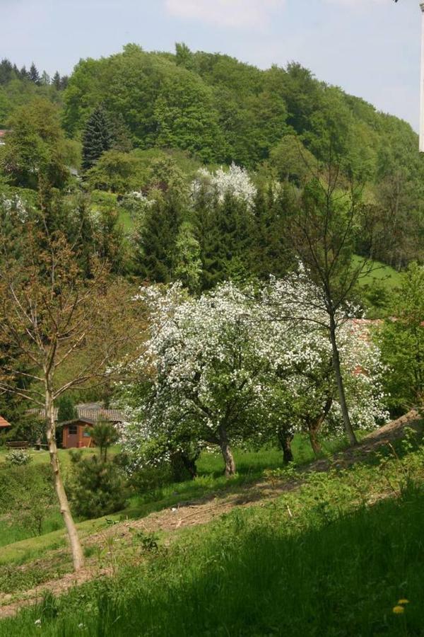 Waldblick Appartement Ober-Hambach エクステリア 写真